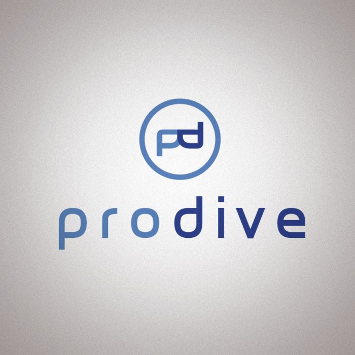logotypy - prodive