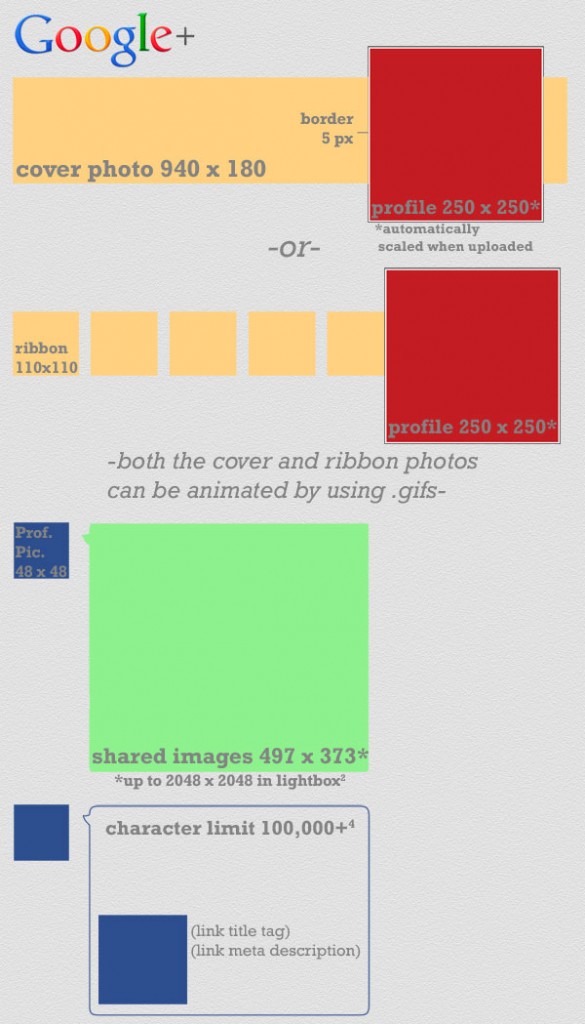 g+ - rozmiary grafik g+ - rozmiary grafik