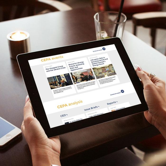 CEPA - rebranding - strona www