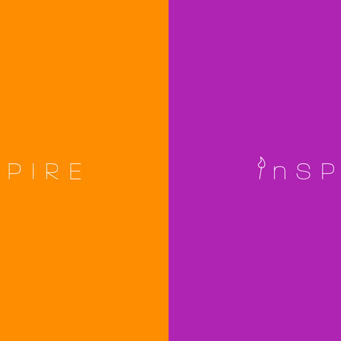 PMI - logo - Inspire