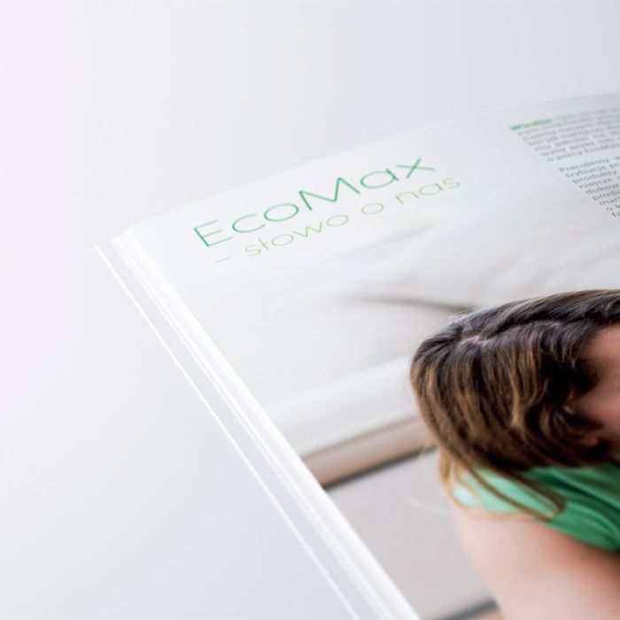 EcoMax - rebranding