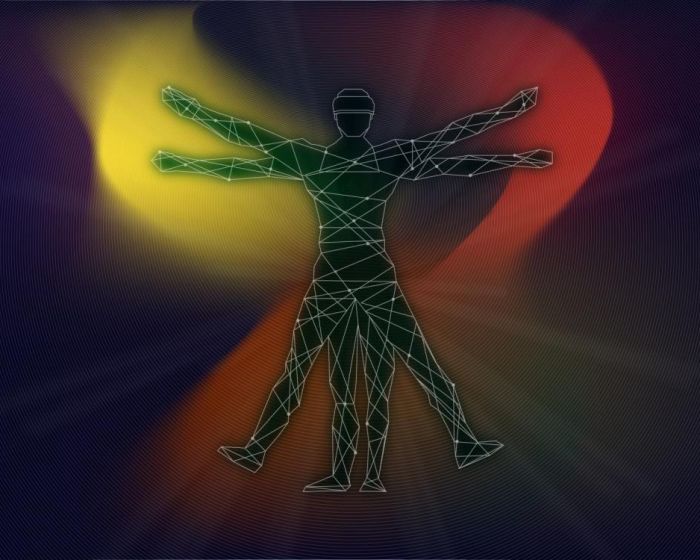 Portfolio - 7D max - branding - Homo Sapiens