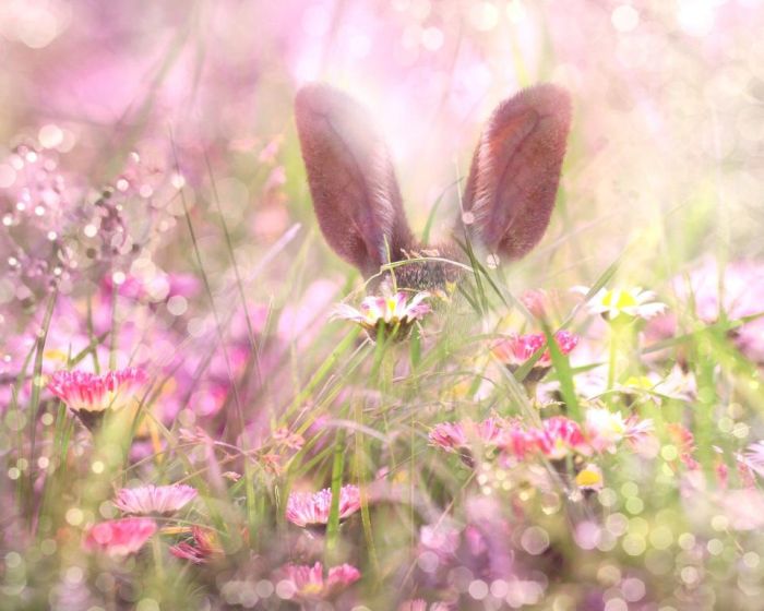 Blog - życzenia - wielkanoc 2